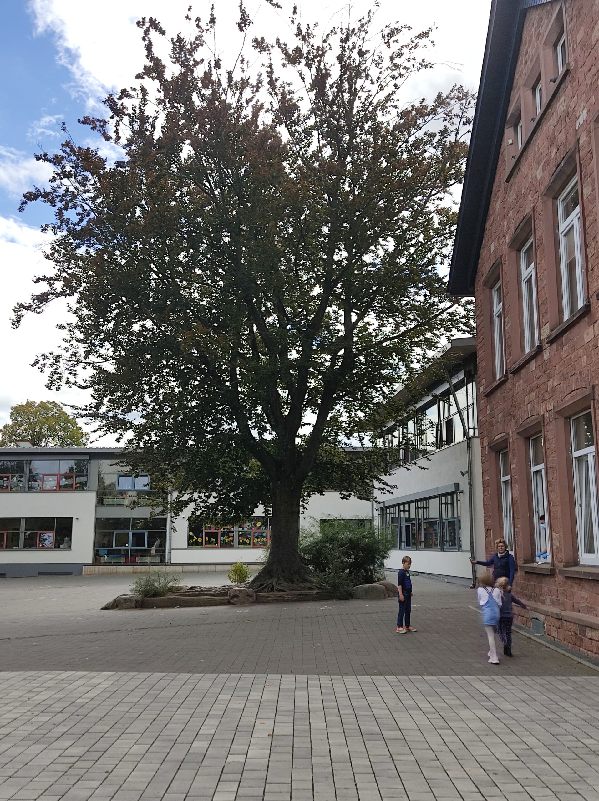 Robinsonschule Hattersheim